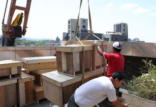 成都起重搬運推薦哪家